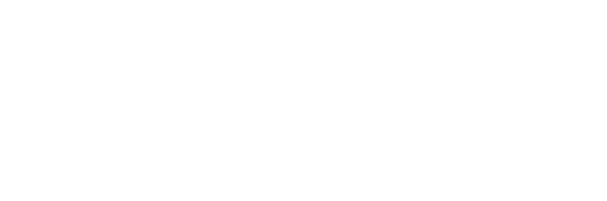 Denver Public Library Friends Foundation Logo